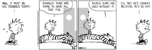 Calvin and Hobbes on Thursday August 13, 1992 Comic Strip