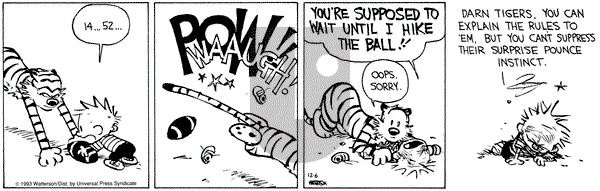 Calvin and Hobbes on Monday December 6, 1993 Comic Strip
