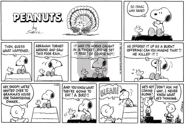 Peanuts on Sunday November 22, 1992 Comic Strip