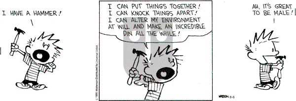 Calvin and Hobbes on Thursday August 6, 2015 Comic Strip