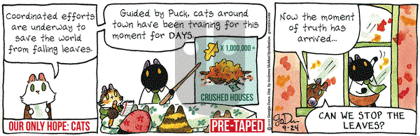 Breaking Cat News on Tuesday September 24, 2019 Comic Strip