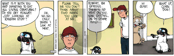 Get Fuzzy on Wednesday May 25, 2005 Comic Strip