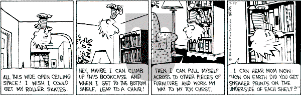 Calvin and Hobbes - Friday November 17, 1989 Comic Strip
