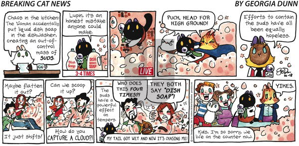 Breaking Cat News on Sunday October 18, 2020 Comic Strip