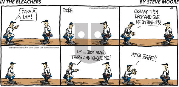 In the Bleachers - Sunday June 8, 2014 Comic Strip