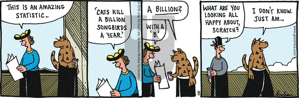 Overboard on Tuesday November 6, 2018 Comic Strip