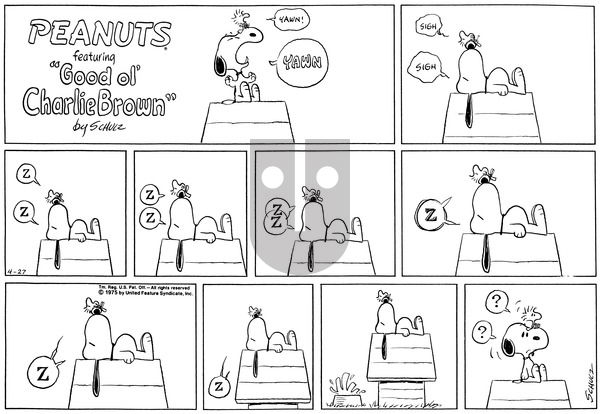 Peanuts on Sunday April 27, 1975 Comic Strip