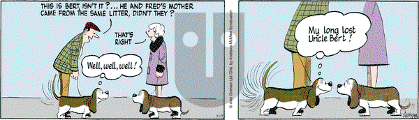 Fred Basset - Thursday November 7, 2024 Comic Strip