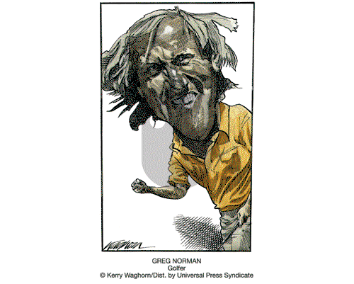 Faces in the News by Kerry Waghorn on Saturday November 1, 2008 Comic Strip