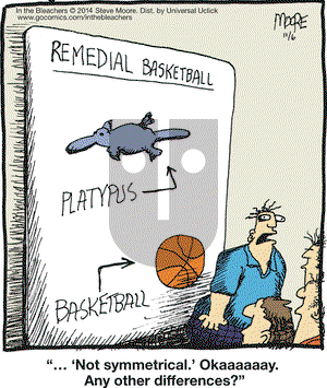 In the Bleachers on Thursday November 6, 2014 Comic Strip