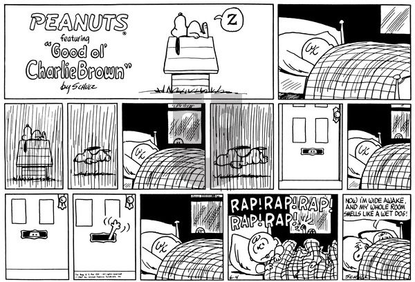 Peanuts on Sunday June 4, 1967 Comic Strip