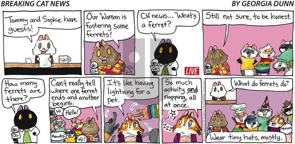 Breaking Cat News - Sunday March 3, 2024 Comic Strip