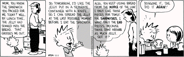 Calvin and Hobbes on Wednesday December 3, 2014 Comic Strip