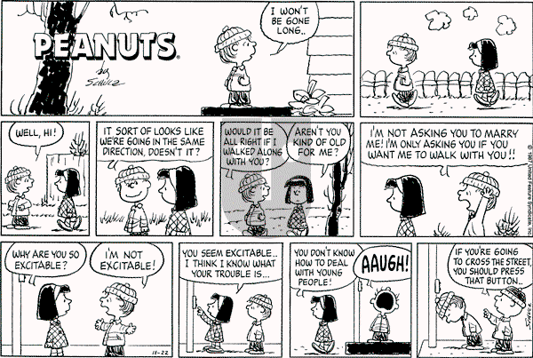 Peanuts - Sunday November 22, 1987 Comic Strip