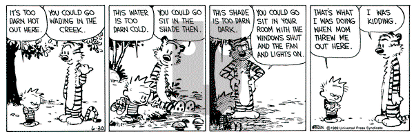 Calvin and Hobbes on Friday June 30, 1989 Comic Strip