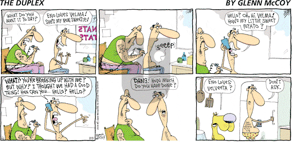 The Duplex on Sunday February 3, 2008 Comic Strip