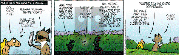 Over the Hedge on Thursday May 25, 2017 Comic Strip