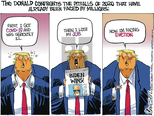 Stuart Carlson on Monday November 9, 2020 Comic Strip