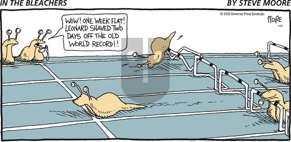 In the Bleachers on Sunday January 29, 2012 Comic Strip