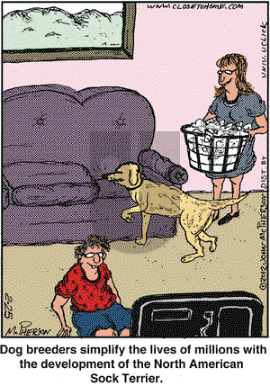 Close to Home on Saturday February 25, 2012 Comic Strip