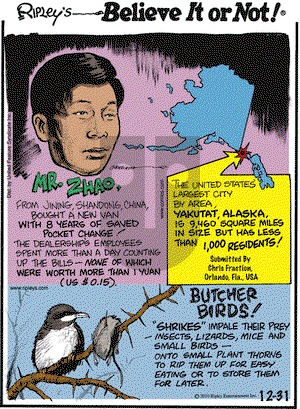 Ripley's Believe It or Not - Friday December 31, 2010 Comic Strip