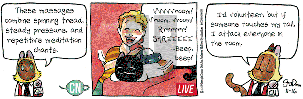 Breaking Cat News on Friday November 16, 2018 Comic Strip