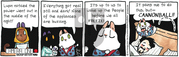 Breaking Cat News on Wednesday February 17, 2021 Comic Strip