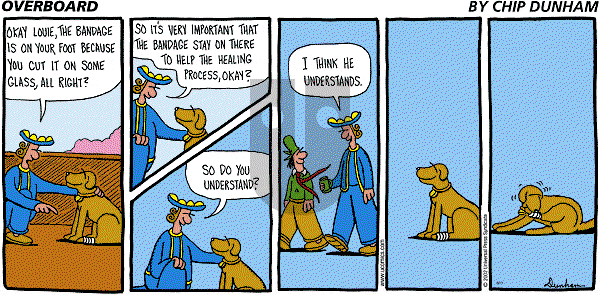 Overboard - Sunday August 11, 2002 Comic Strip