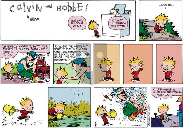 Calvin and Hobbes - Sunday August 12, 1990 Comic Strip