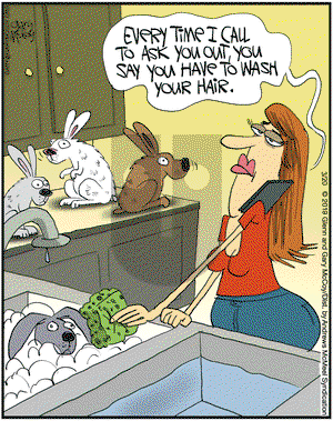 The Flying McCoys on Wednesday March 20, 2019 Comic Strip