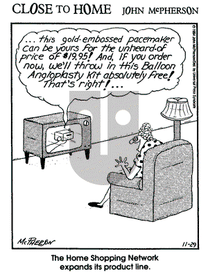 Close to Home on Tuesday November 29, 1994 Comic Strip