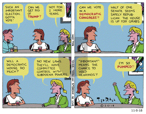 Ted Rall on Monday November 5, 2018 Comic Strip