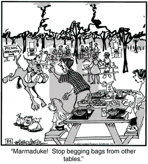Marmaduke on Saturday August 4, 2007 Comic Strip