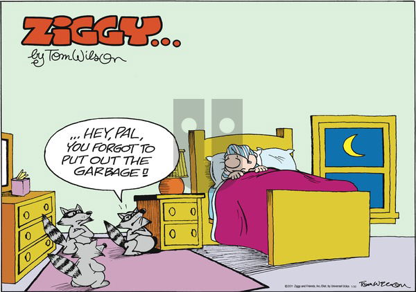 Ziggy on Sunday January 30, 2011 Comic Strip