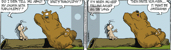 The Grizzwells on Monday July 14, 2025 Comic Strip