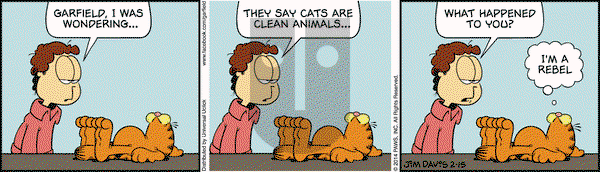 Garfield on Saturday February 15, 2014 Comic Strip