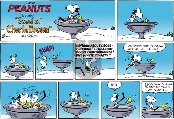 Peanuts on Sunday January 25, 2004 Comic Strip