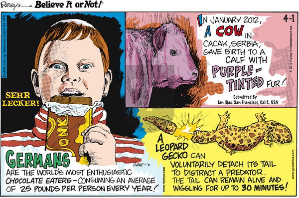 Ripley's Believe It or Not on Sunday April 1, 2012 Comic Strip