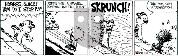 Calvin and Hobbes - Saturday September 25, 2021 Comic Strip