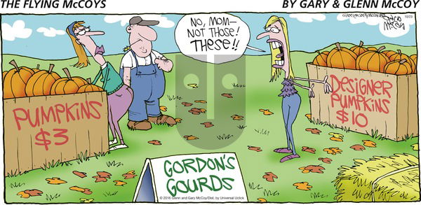 The Flying McCoys on Sunday October 23, 2016 Comic Strip