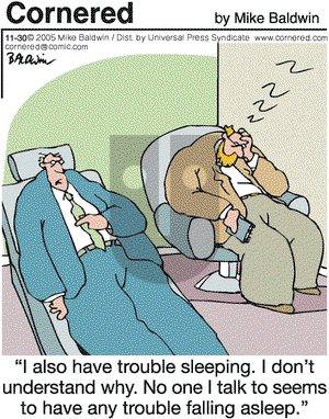 Cornered - Wednesday November 30, 2005 Comic Strip