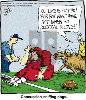 In the Bleachers on Friday August 9, 2013 Comic Strip