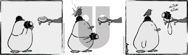W.T. Duck on Sunday November 5, 2023 Comic Strip