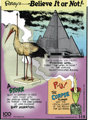 Ripley's Believe It or Not on Saturday January 19, 2019 Comic Strip