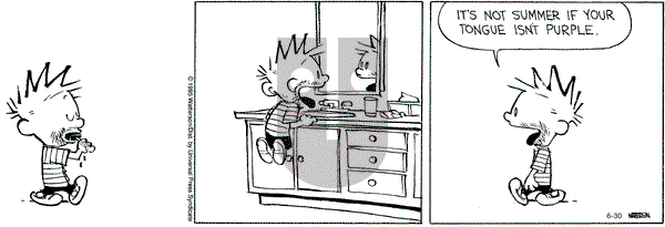 Calvin and Hobbes on Tuesday June 30, 2015 Comic Strip