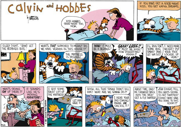 Calvin and Hobbes on Sunday November 8, 1987 Comic Strip