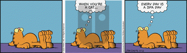 Garfield on Monday May 12, 2025 Comic Strip