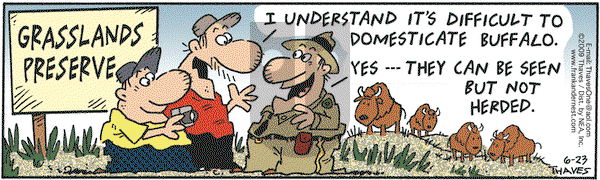 Frank and Ernest on Tuesday June 23, 2009 Comic Strip