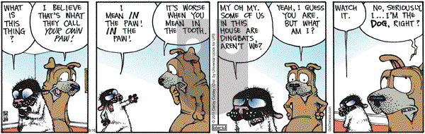 Get Fuzzy on Friday August 16, 2013 Comic Strip