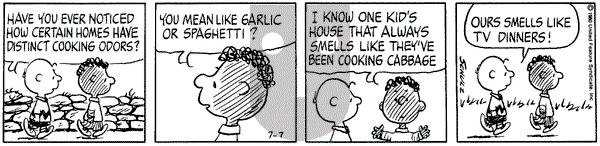 Peanuts on Monday July 7, 1980 Comic Strip